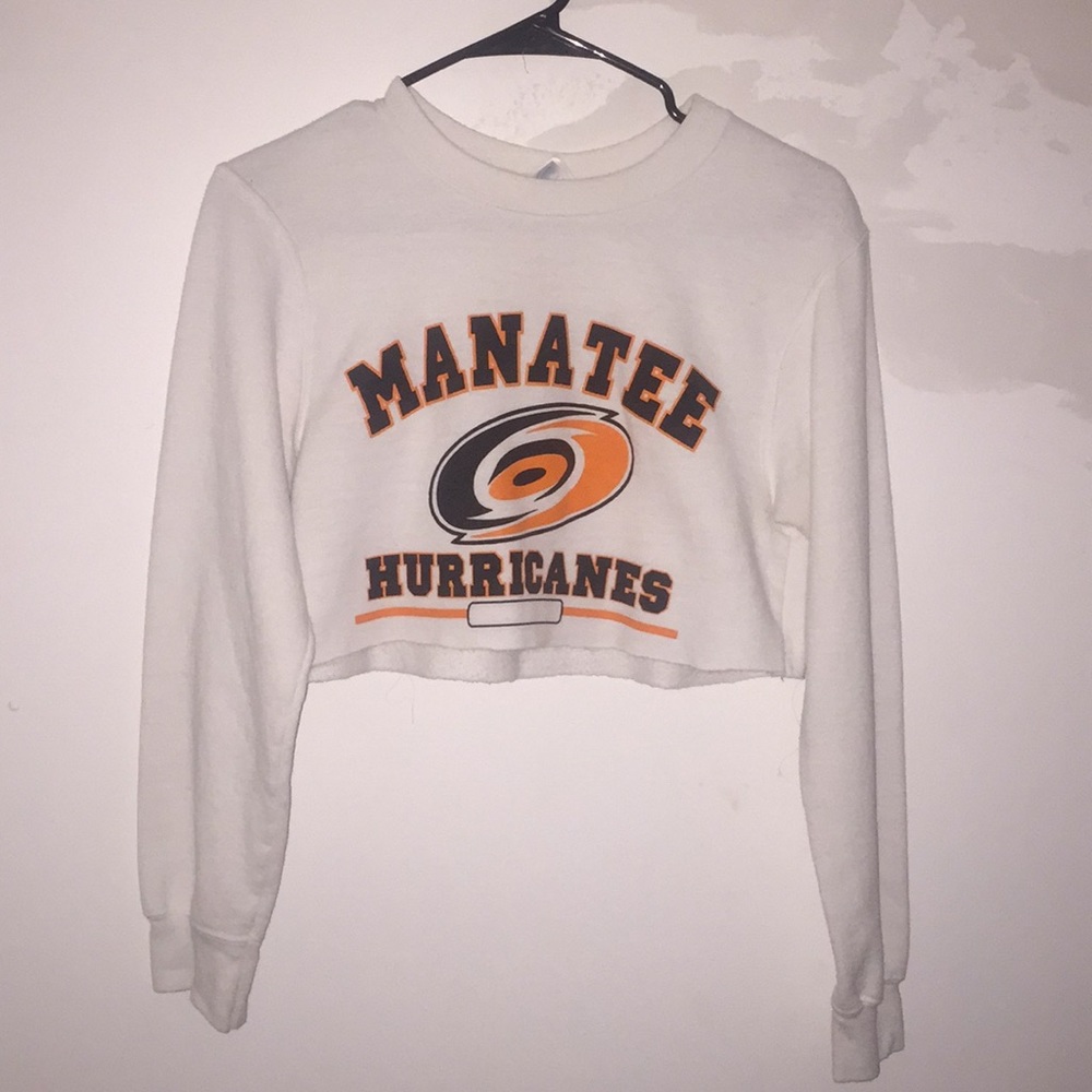 Long sleeved crop top